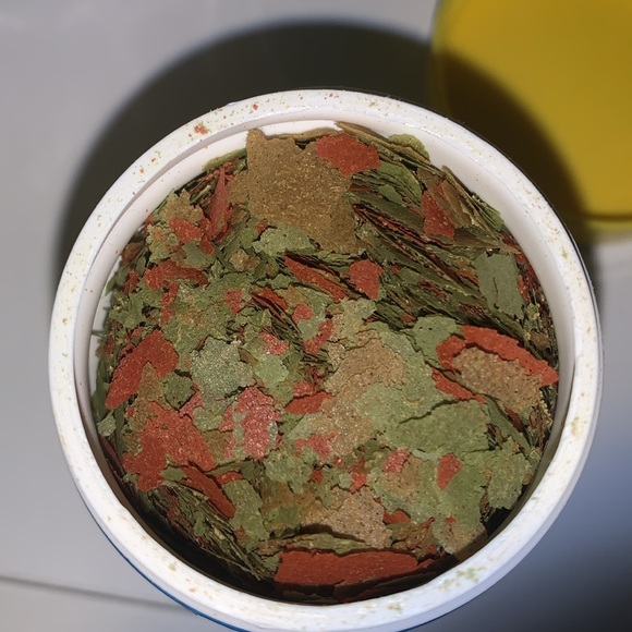 Beta fish Mini tank bundle, filters, food, decorations, mini tank - Picture 8 of 13